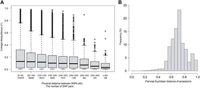 Multi-Trait Genomic Prediction Models Enhance the Predictive Ability of Grain Trace Elements in Rice